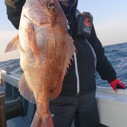 だて丸 釣果