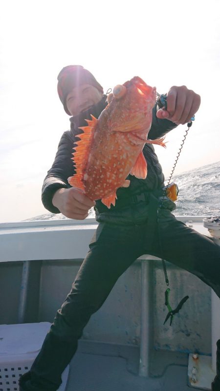 だて丸 釣果