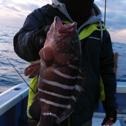 新幸丸 釣果