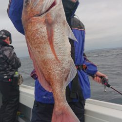 だて丸 釣果