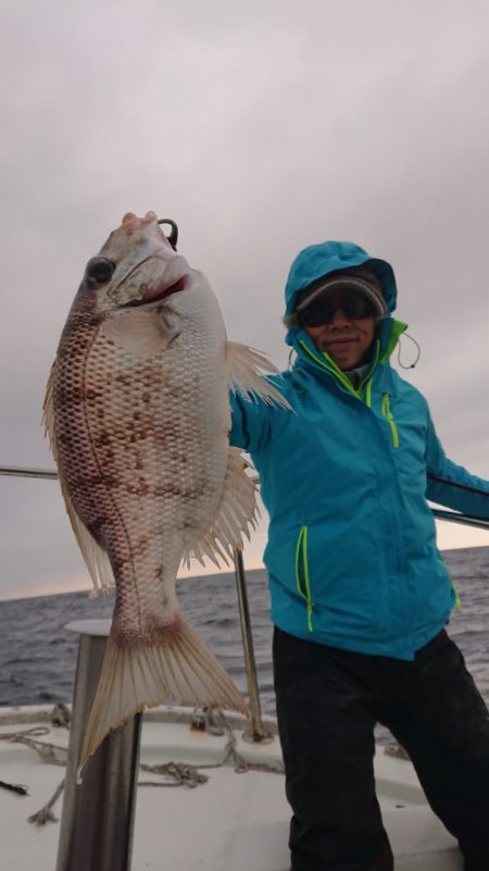 だて丸 釣果