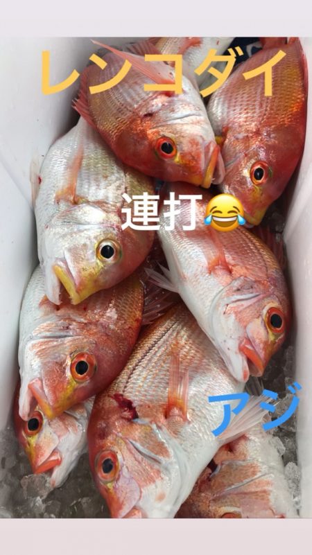 龍神丸（鹿児島） 釣果