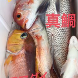 龍神丸（鹿児島） 釣果