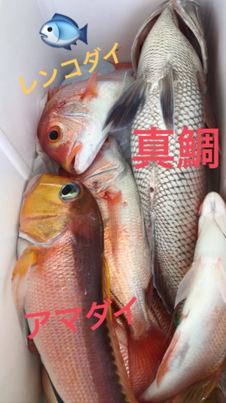 龍神丸（鹿児島） 釣果