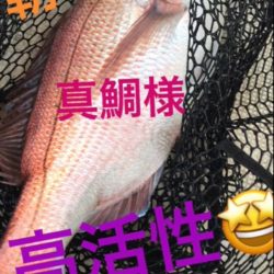 龍神丸（鹿児島） 釣果