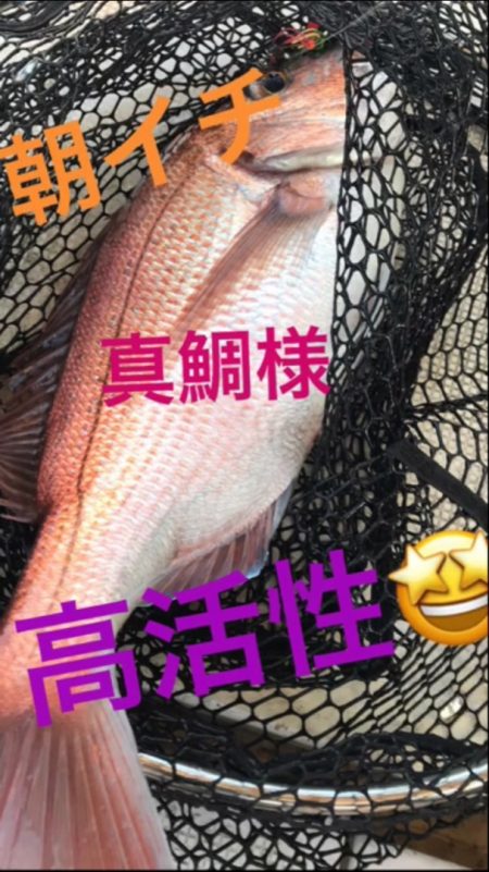 龍神丸（鹿児島） 釣果