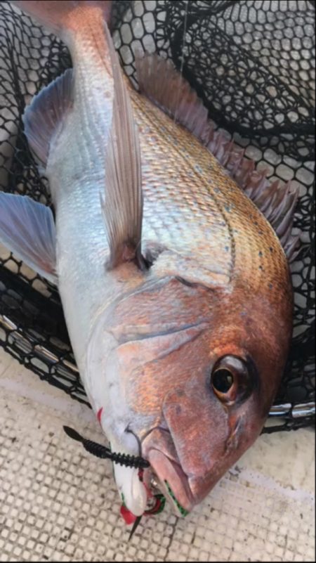 龍神丸（鹿児島） 釣果