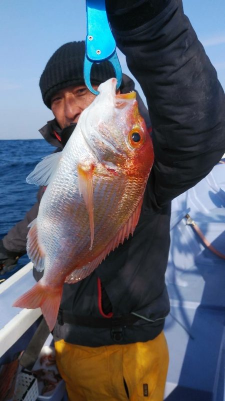 新幸丸 釣果