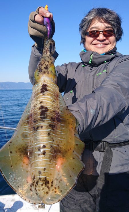 シースナイパー海龍 釣果