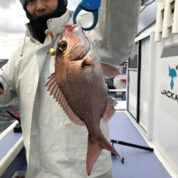 新幸丸 釣果