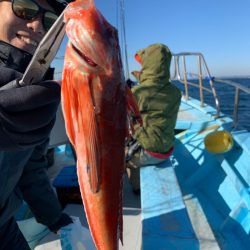 みやけ丸 釣果