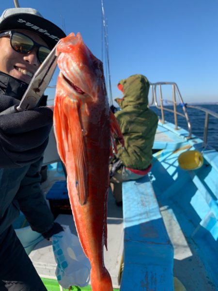 みやけ丸 釣果