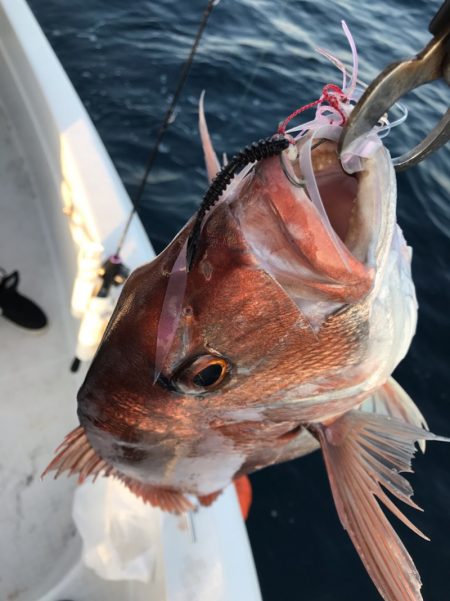 龍神丸（鹿児島） 釣果