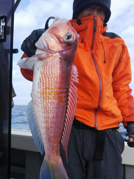 光生丸 釣果