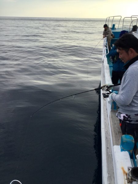 阿波哲 釣果