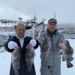 シーランチ 釣果