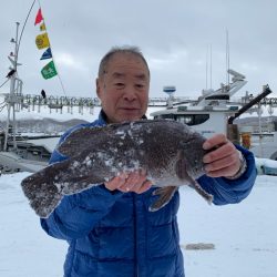 シーランチ 釣果