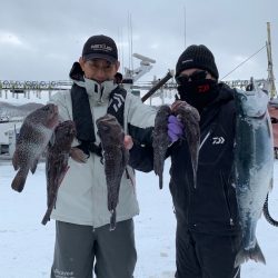 シーランチ 釣果