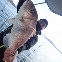 タイラバ遊漁船 ワンピース 釣果