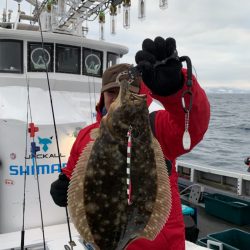 シーランチ 釣果