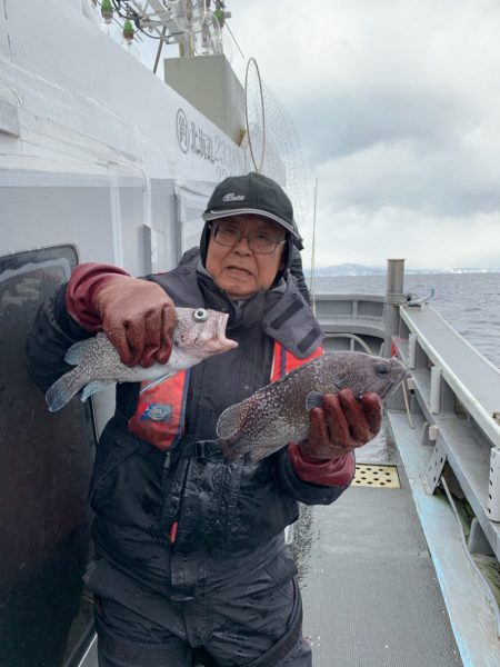 シーランチ 釣果