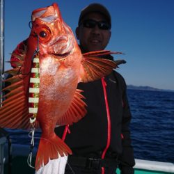 和栄丸 釣果