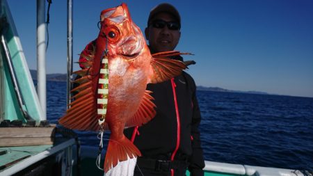 和栄丸 釣果