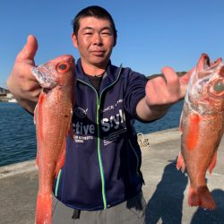 ぽん助丸 釣果