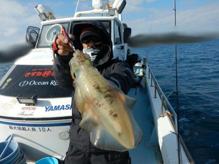 きずなまりん 釣果