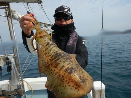 きずなまりん 釣果