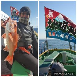 もと明丸 釣果