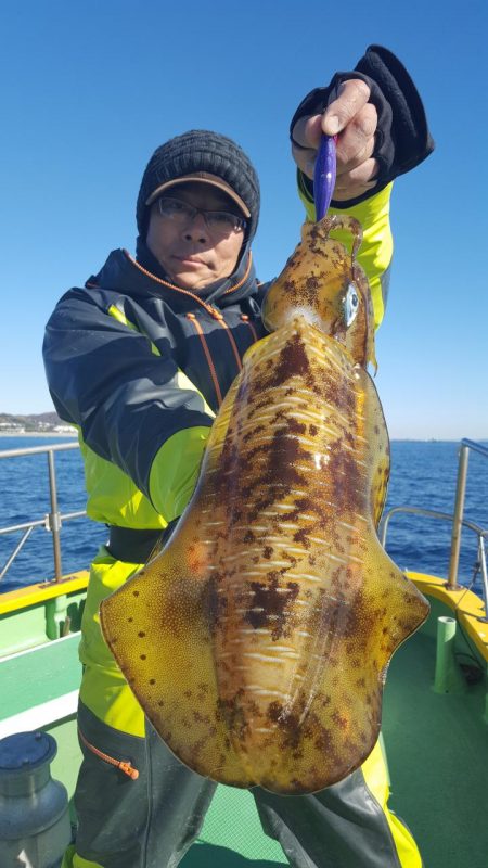 もと明丸 釣果