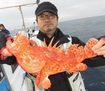 根魚釣り