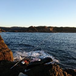 須江でグレ釣り