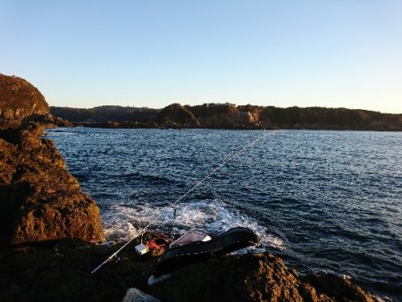 須江でグレ釣り