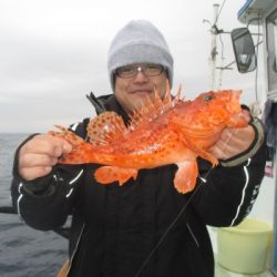 根魚釣り