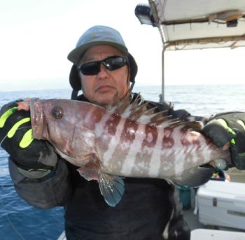 根魚釣り