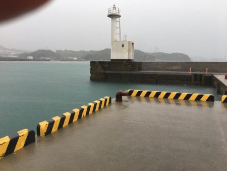 雨中のサビキ釣り