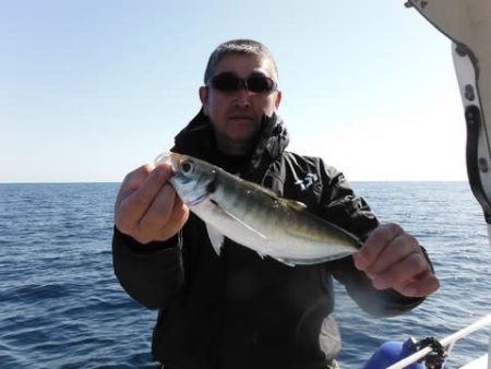 開進丸 釣果