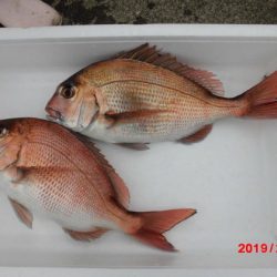 大進丸（新潟） 釣果