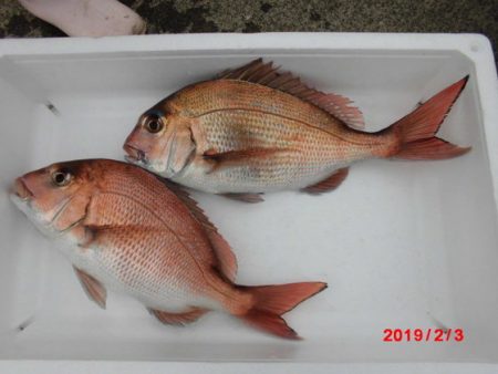 大進丸（新潟） 釣果