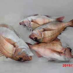 大進丸（新潟） 釣果