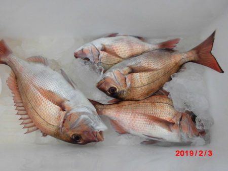 大進丸（新潟） 釣果