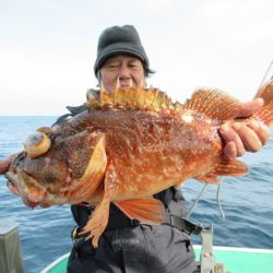 真祐丸 （しんゆうまる） 釣果