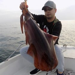 フィッシングボート空風（そらかぜ） 釣果