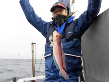 鯛紅丸 釣果