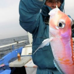 鯛紅丸 釣果