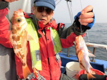 鯛紅丸 釣果