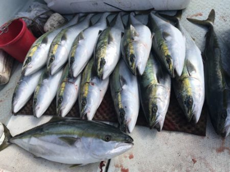 釣船 浦島太郎 釣果