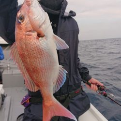 だて丸 釣果